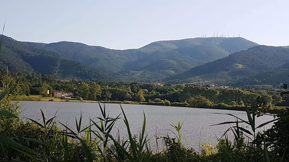 Il Lago della Gharardesca